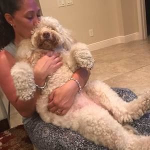 Meet your Posher, Sheree